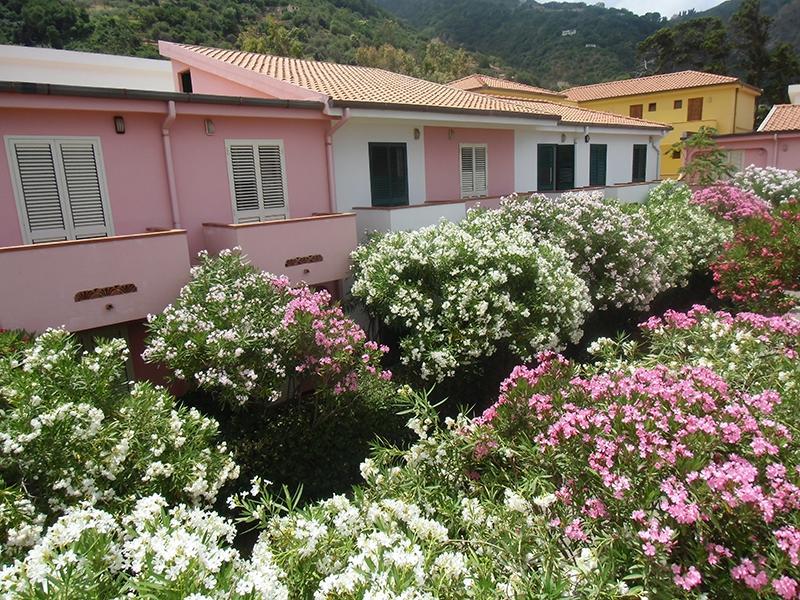 Villaggio Hotel Club Calanovellamare Piraino Exterior photo