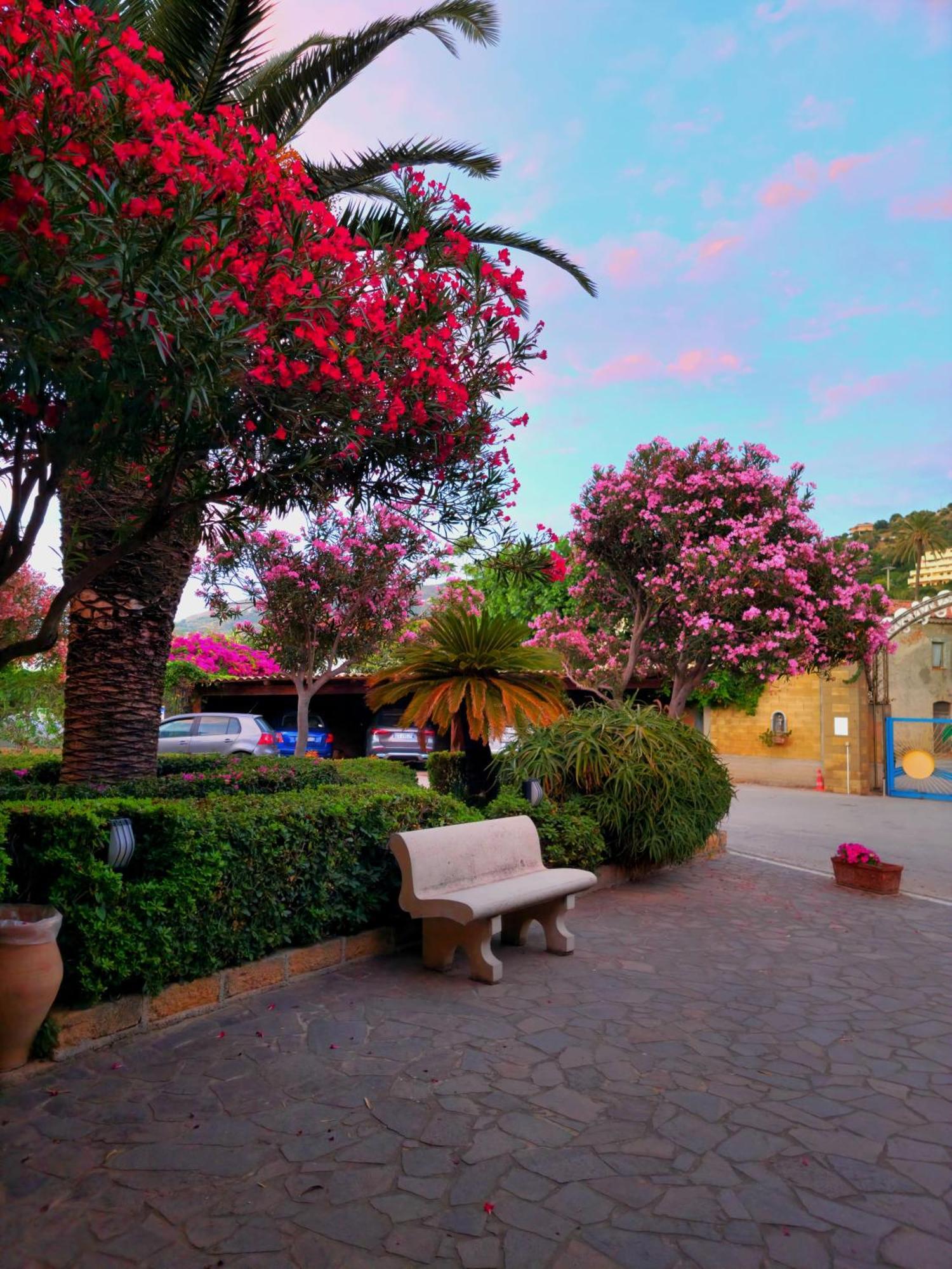 Villaggio Hotel Club Calanovellamare Piraino Exterior photo